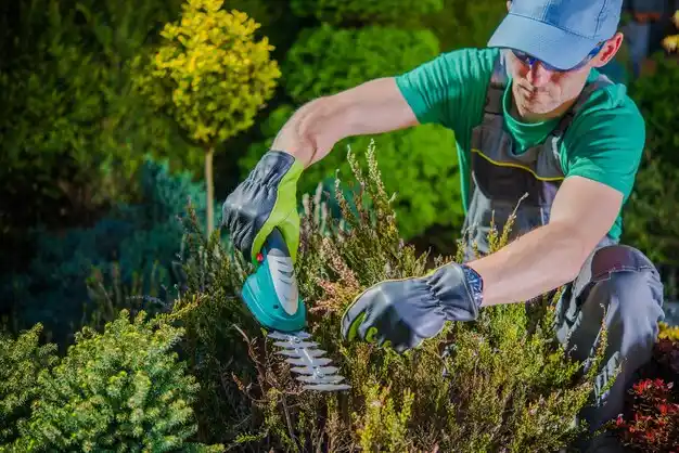 landscaping services Katonah